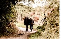 promenade